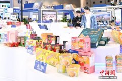 2025陆海新通道国际物流博览会在重庆举行